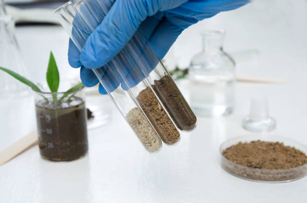 Soil Testing Services in Coimbatore